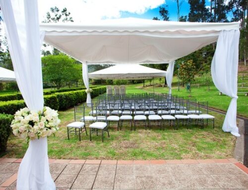 Top Tips for Event Decor Rentals: What You Should Know