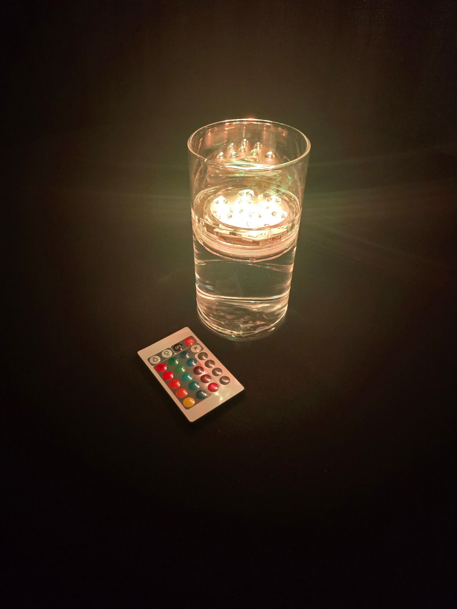 LED Submersible Light